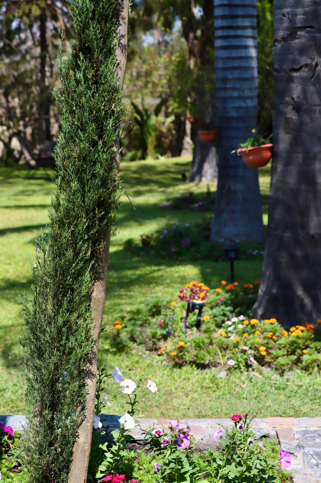 Summerfields & Gardens Lodge Kitwe Экстерьер фото